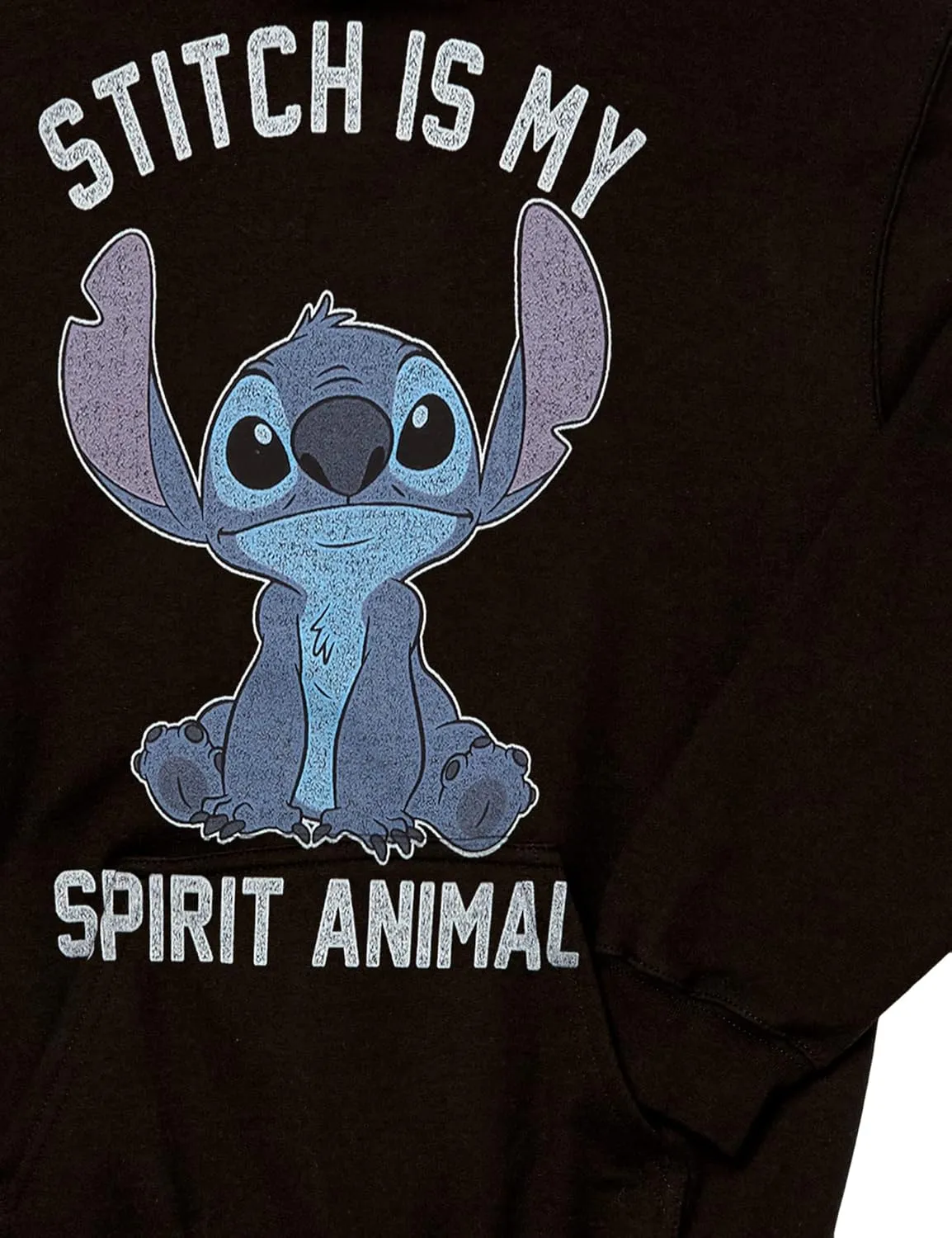 Disney Kids' Stitch Spirital Animal Hoodie