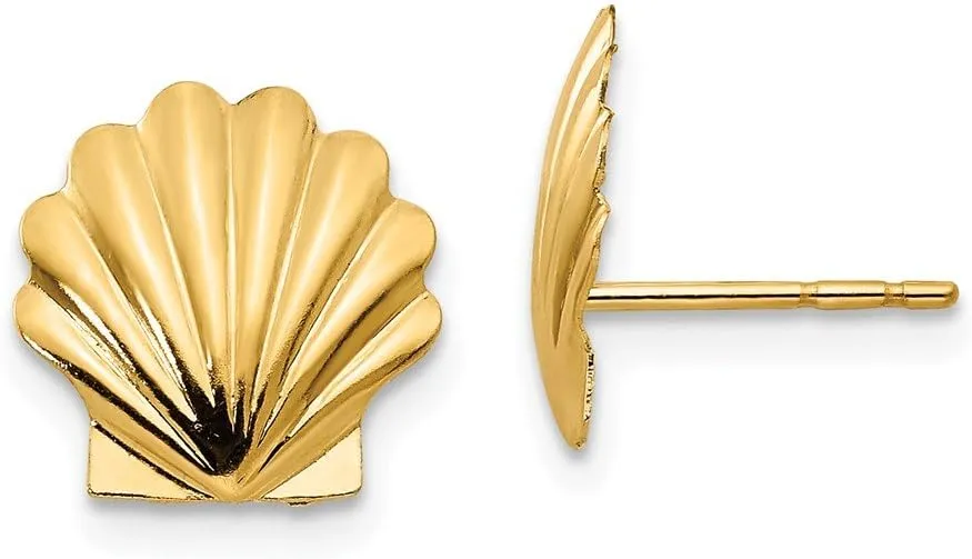 Solid 14k Yellow Gold Shell Post Studs Earrings (10mm x 10mm)